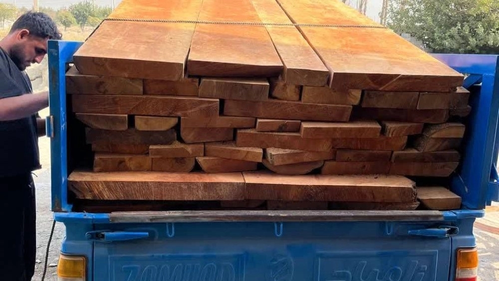 مرکز پخش مستقیم الوار خام چوب جنگلی به سراسر استانهای ایران مرکز پخش مستقیم الوار خام چوب جنگلی به سراسر استانهای ایران